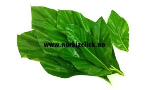 YOR LEAF ( BAI YOR ) 80G