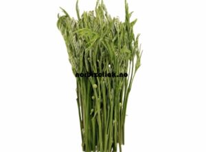 YOUNG ACACIA FLOWER 80G.