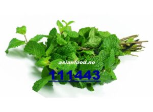 MINT 80G