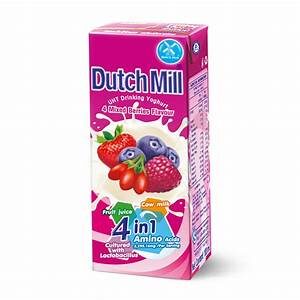 DUTCHMILL MIXED BERRY DRINK UHT 180ML
