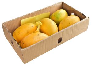 MANGO PAKISTAN