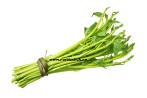 THAI MORNING GLORY 200G