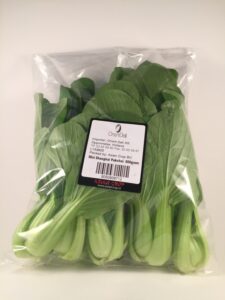 MINI SHANGHAI 500G