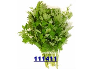 CORIANDER 100g NL #111411