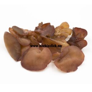WOOD EAR MUSHROOM