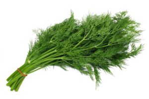 DILL BUNT #112